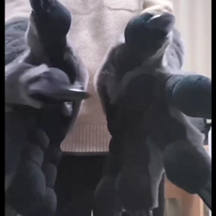 Grey Realistic Large Wolf paws furry fursuit custom