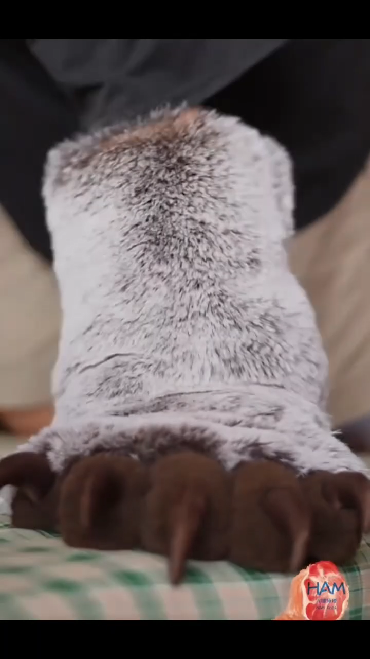 Brown Bear Paws – Chubby Paws furry fursuit paws