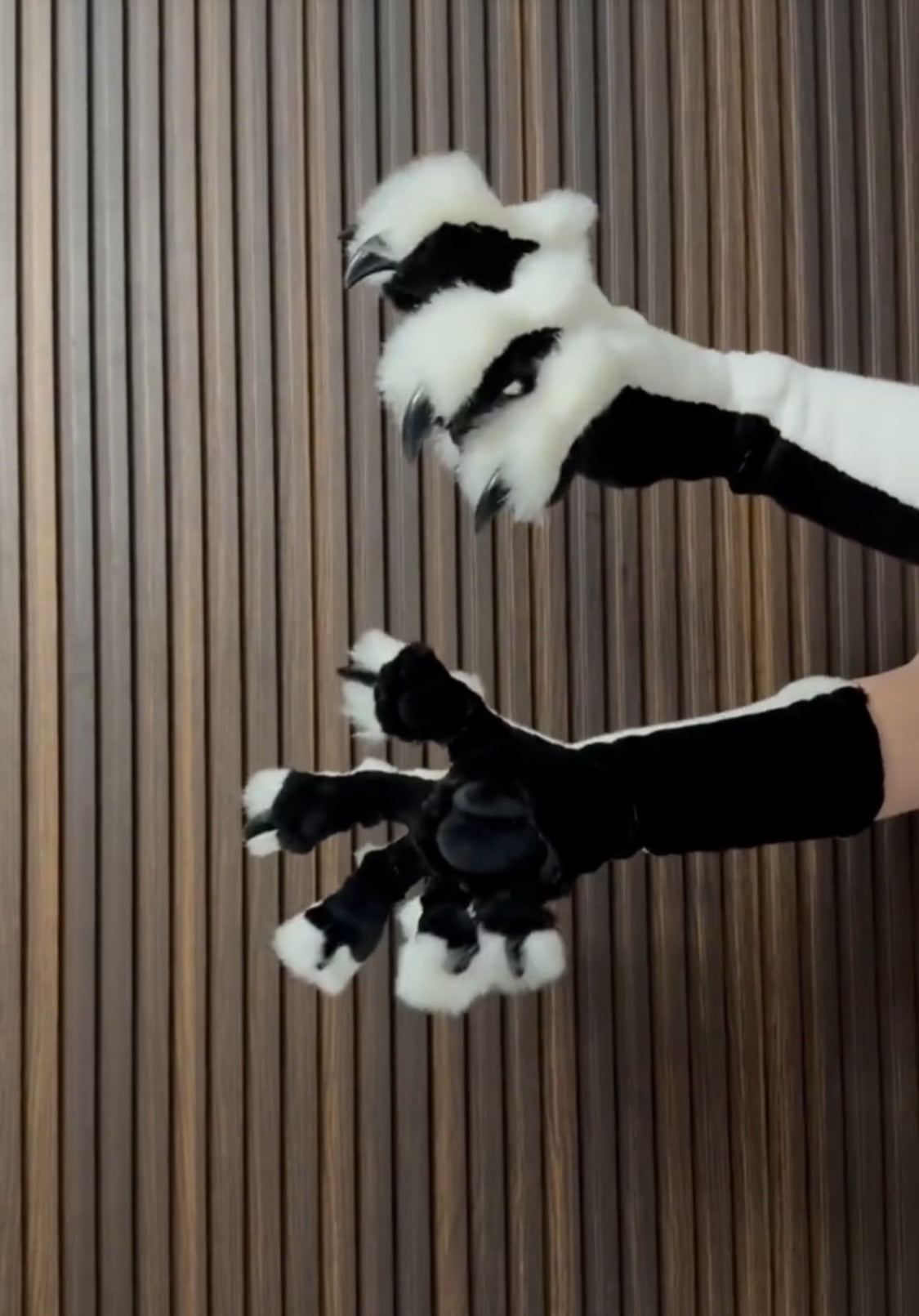 Black and White Color Block paws, Elastic Synthetic Fabric, Customizable Colors.