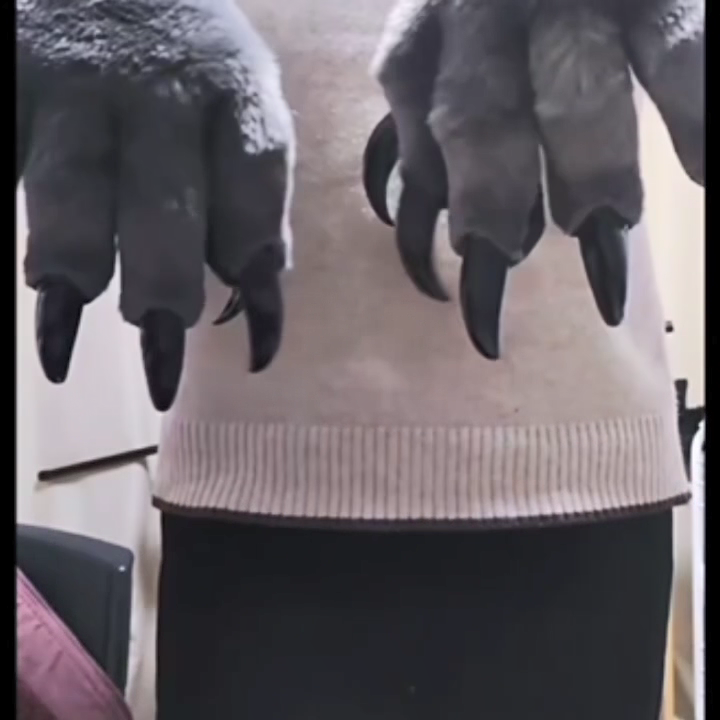 Grey Realistic Large Wolf paws furry fursuit custom