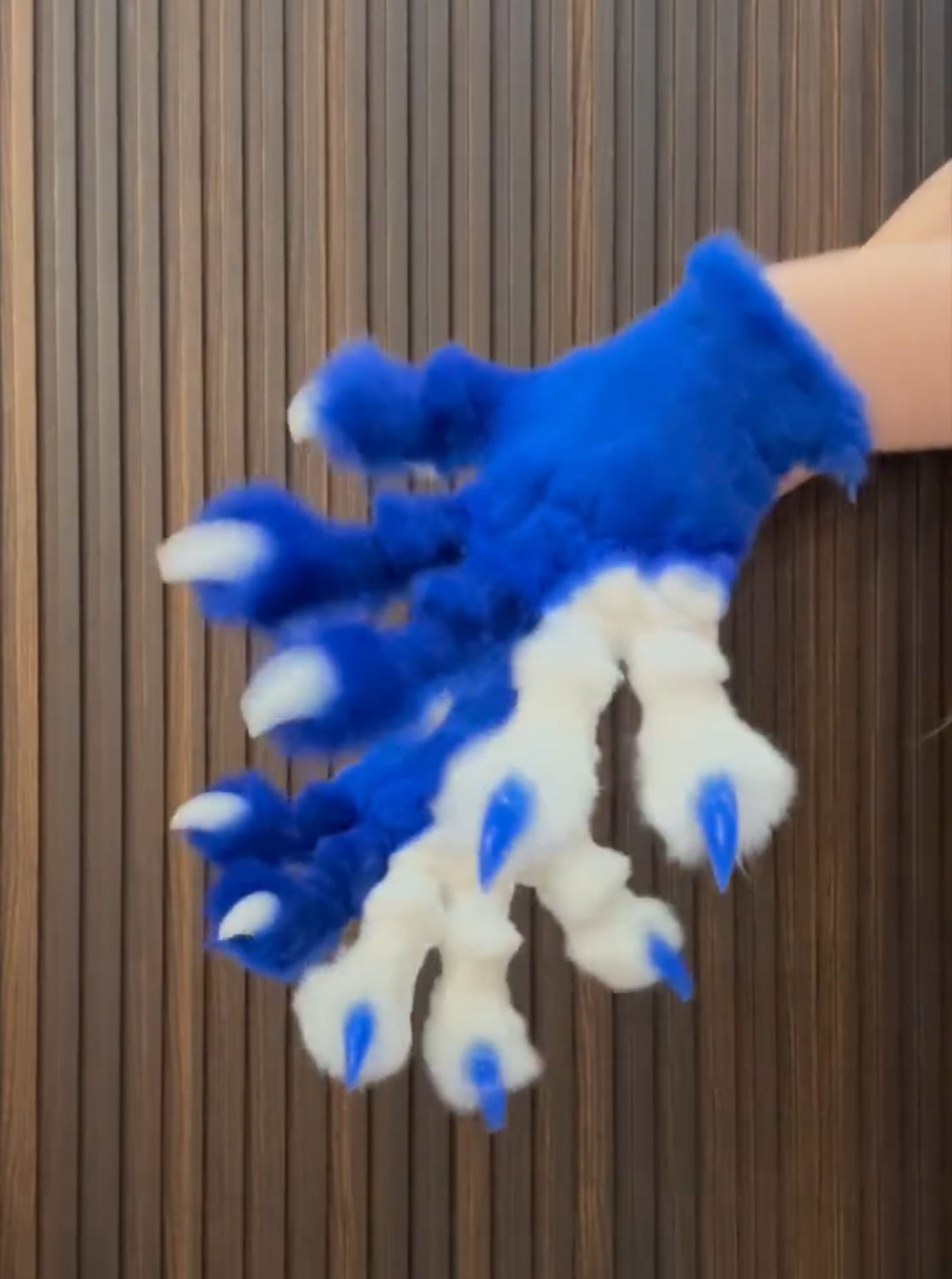 Blue and white color-blocked, hand-attached, realistic paws, furry fursuit, customizable colors, made with stretchy synthetic fabric combined with faux fur fabric.