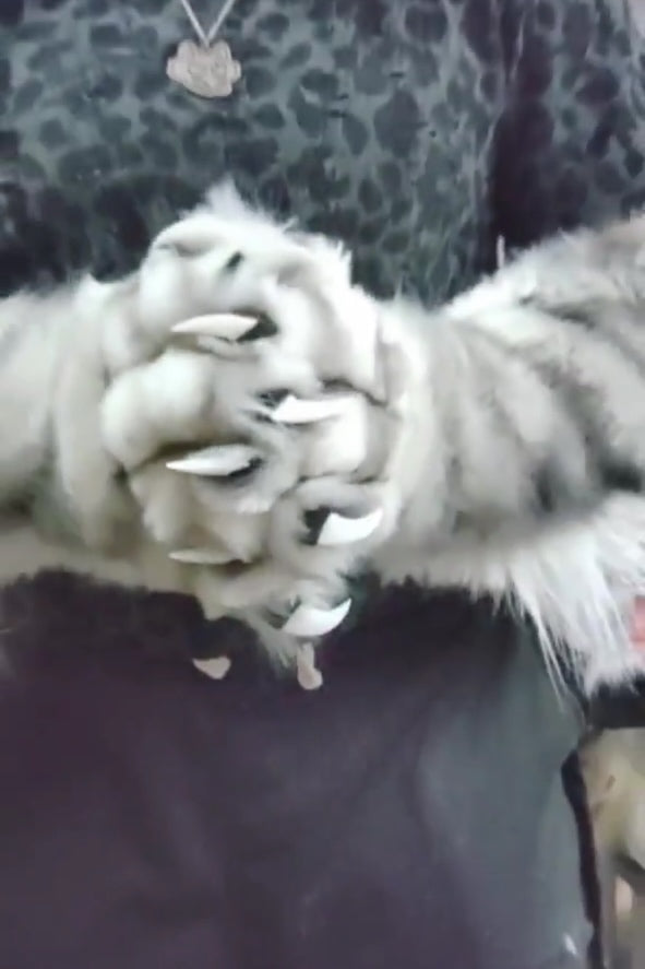 Realistic White Tiger Paws furry fuirsuit  paws  Customizable Colors