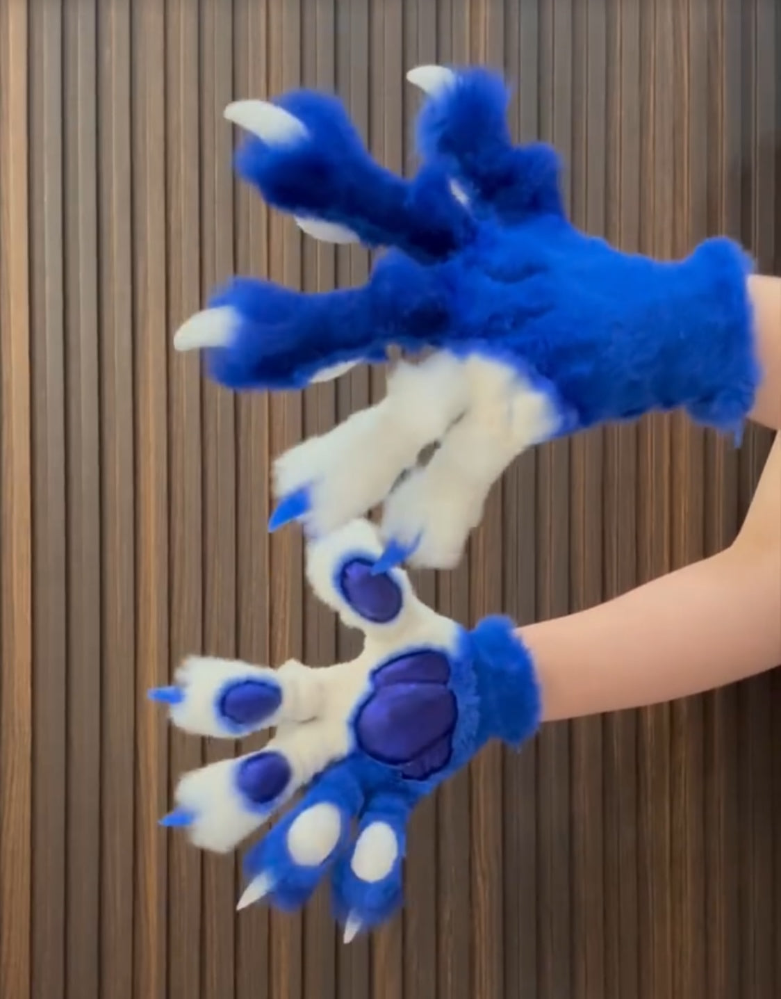 Blue and white color-blocked, hand-attached, realistic paws, furry fursuit, customizable colors, made with stretchy synthetic fabric combined with faux fur fabric.