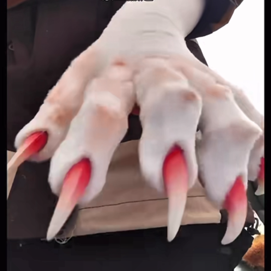 Milky white, close-fitting, bionic PAWS with internal 3D-printed support structure.